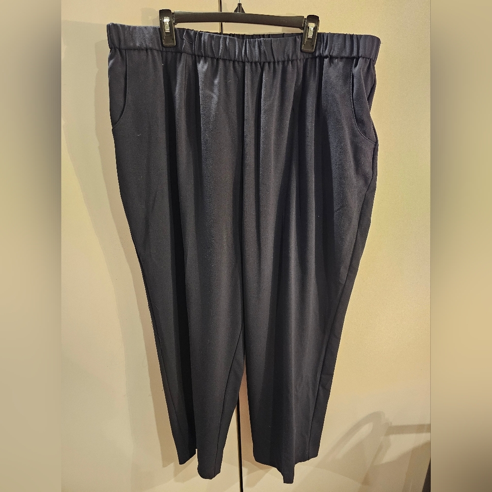 Sag Harbor Navy Blue Pants